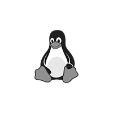 Linux Hosting Services